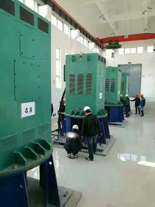 稻城某污水处理厂使用我厂的立式高压电机安装现场